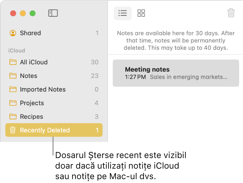 Fereastra Notițe cu dosarul Șterse recent în bara laterală și o notiță ștearsă recent. Puteți vedea dosarul Șterse recent doar dacă utilizați notițe iCloud sau notițele de pe Mac-ul dvs.