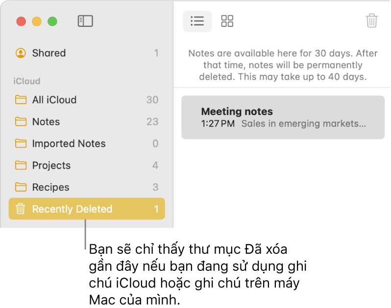 Cửa sổ Ghi chú có thư mục Đã xóa gần đây trên thanh bên và một ghi chú bị xóa gần đây. Bạn chỉ thấy thư mục Đã xóa gần đây nếu bạn đang sử dụng ghi chú iCloud hoặc ghi chú trên máy Mac của mình.