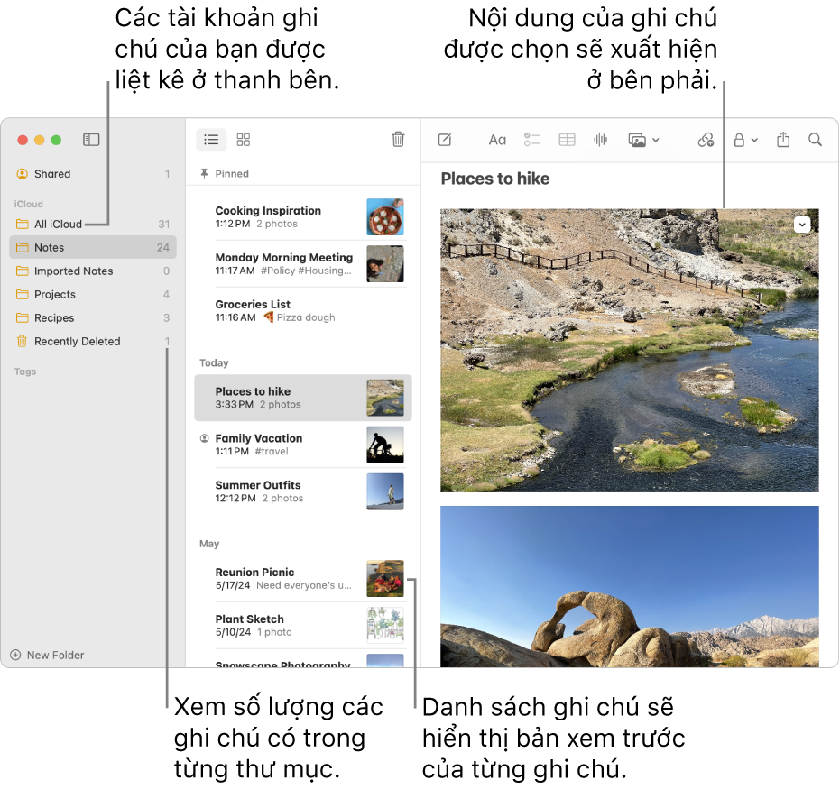 Một cửa sổ ứng dụng Ghi chú trên máy Mac chứa tất cả các tài khoản và thư mục đã cấu hình, được liệt kê trong thanh bên trái. Danh sách ghi chú ở giữa hiển thị bản xem trước của từng ghi chú. Nội dung của ghi chú được chọn xuất hiện ở bên phải. Số lượng các ghi chú sẽ xuất hiện bên cạnh mỗi thư mục.