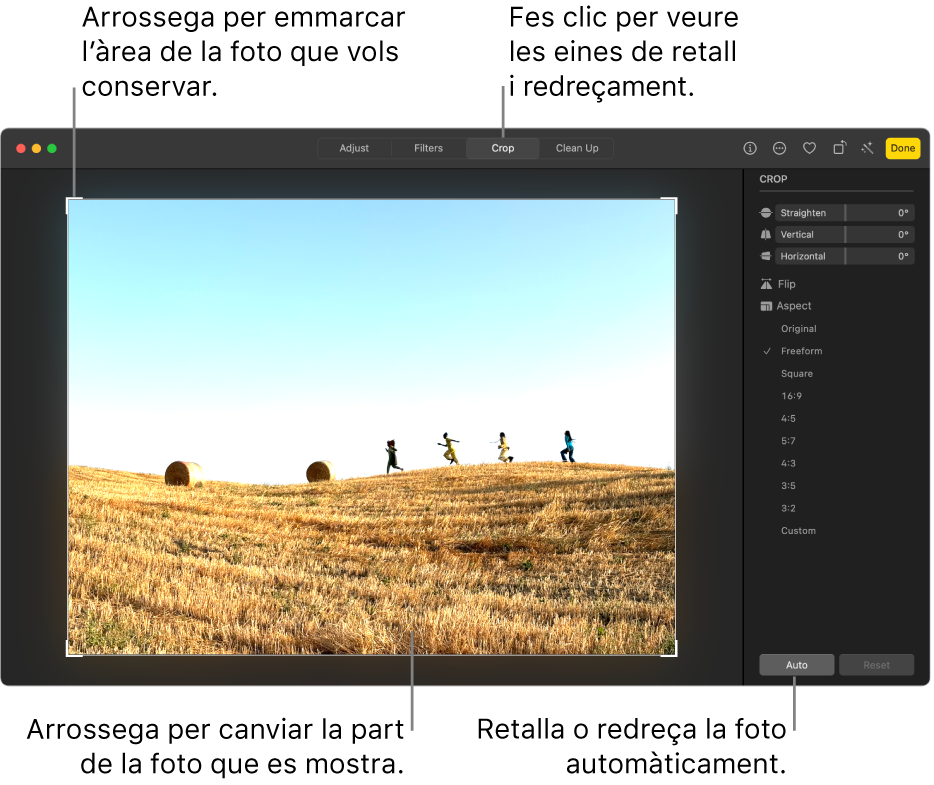 Una foto en la vista d’edició, amb l’opció d’escapçar seleccionada a la barra d’eines, un rectangle de selecció al voltant de la foto, reguladors de redreçament, opcions de proporció i els botons “Automàtic” i “Restableix” a la dreta.