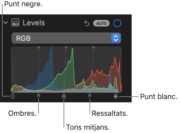 Els controls de “Nivells” del tauler “Ajusta”, que mostren l’histograma corresponent a RGB amb marcadors a sota, inclosos (d’esquerra a dreta): punt negre, ombres, tons mitjans, ressaltats i punt blanc.