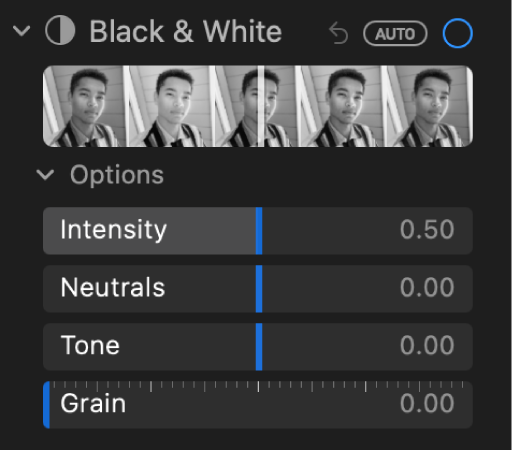 Oblast Černá a bílá na panelu Úpravy s jezdci pro nastavení parametrů Intenzita, Neutrální, Tón a Zrnitost.