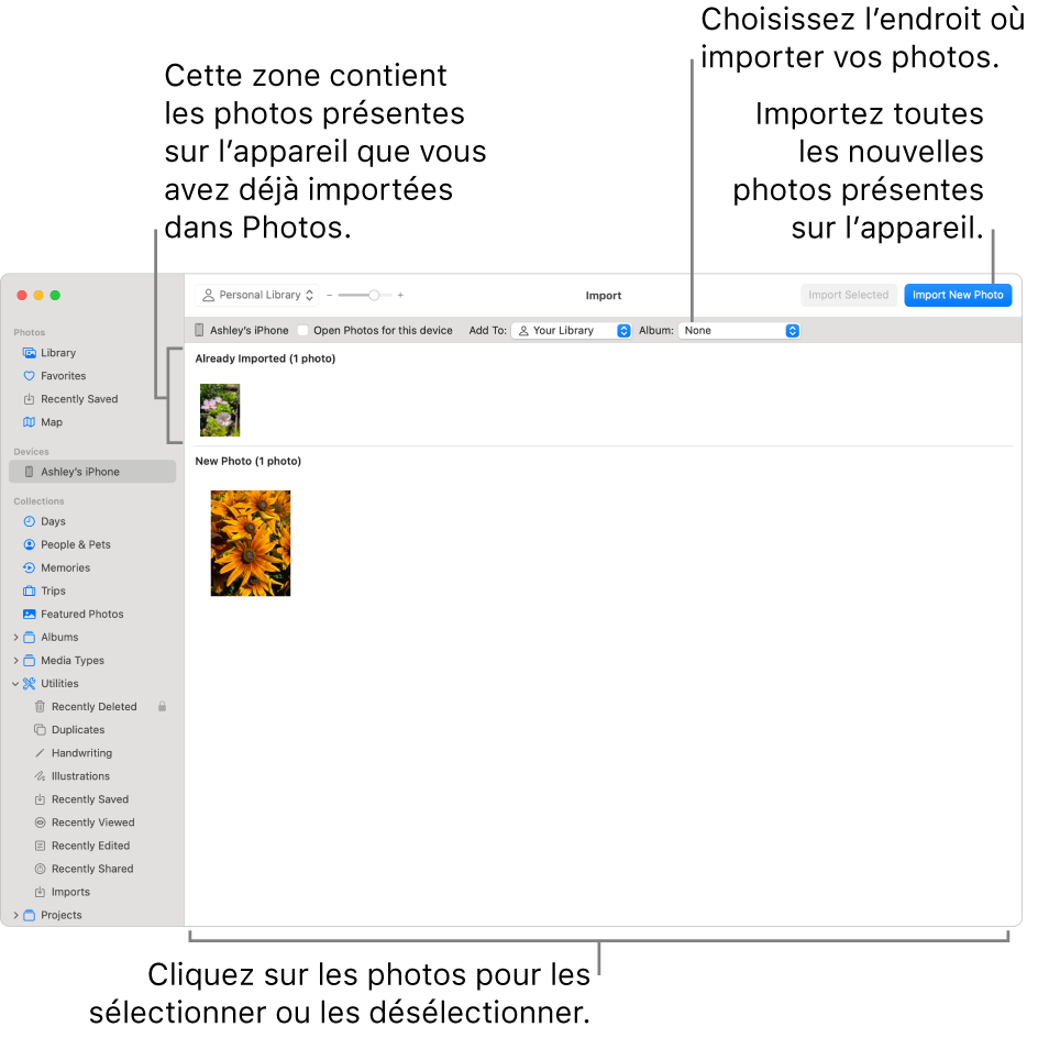 Les photos présentes sur l’appareil que vous avez déjà importées apparaissent en haut de la fenêtre Importer. Les nouvelles photos apparaissent en bas. En haut et au centre se trouve le menu local Album. Les boutons pour l’importation se trouvent en haut à droite.