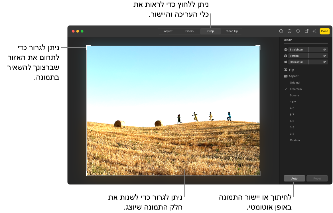 תמונה בתצוגת עריכה כאשר אפשרות החיתוך נבחרת בסרגל הכלים, מלבן בחירה מקיף את התמונה ומחוונים ליישור, אפשרויות עבור יחס גובה-רוחב והכפתורים ״אוטומטי״ ו”איפוס” משמאל.