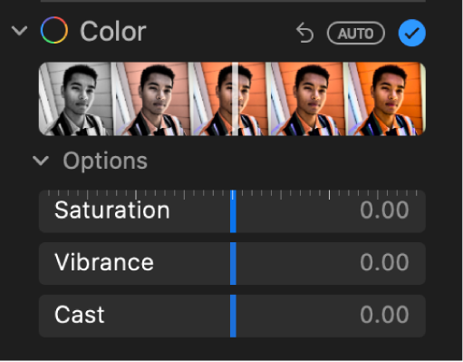 Area Warna pada panel Sesuaikan menampilkan penggeser untuk Saturasi, Kecemerlangan, dan Koreksi Warna.