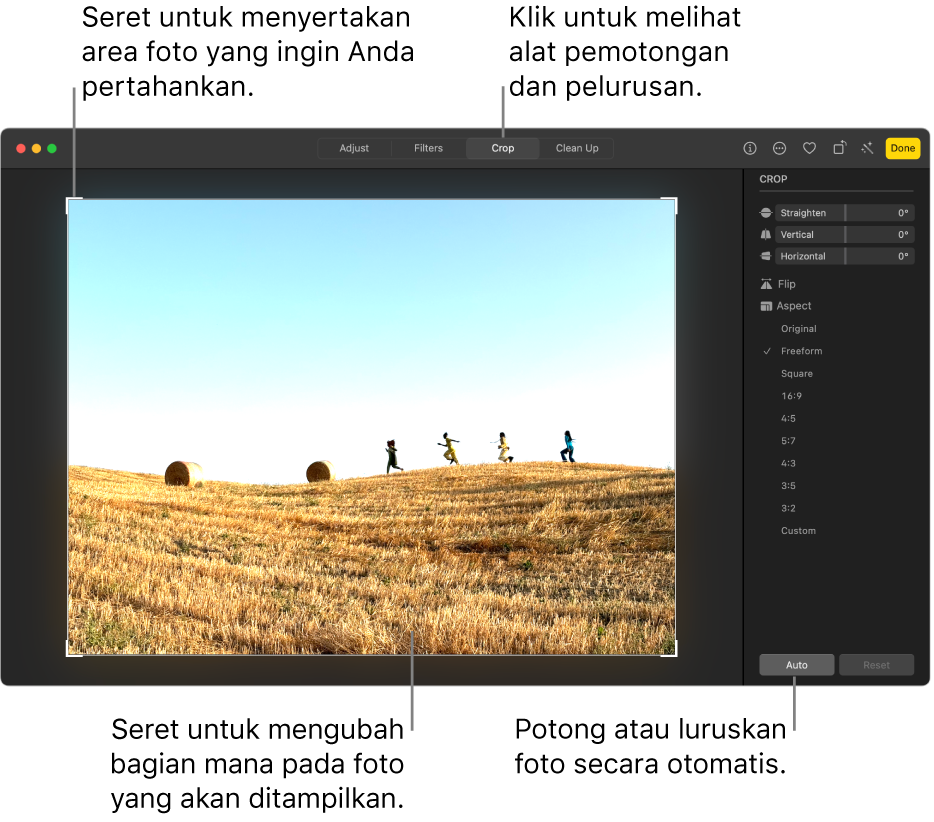 Foto dalam tampilan pengeditan, dengan Potong dipilih di bar alat, persegi panjang pilihan di sekitar foto, dan penggeser pelurusan, pilihan rasio aspek, dan tombol Otomatis dan Atur Ulang di sebelah kanan.