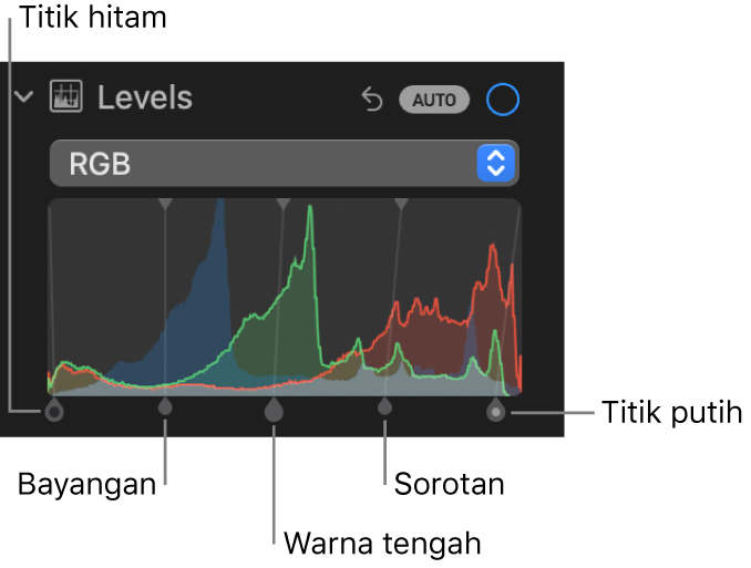 Kontrol Level di panel Sesuaikan, menampilkan histogram RGB dengan pengendali di bawah, termasuk (dari kiri ke kanan) titik hitam, bayangan, warna tengah, sorotan, dan titik putih.