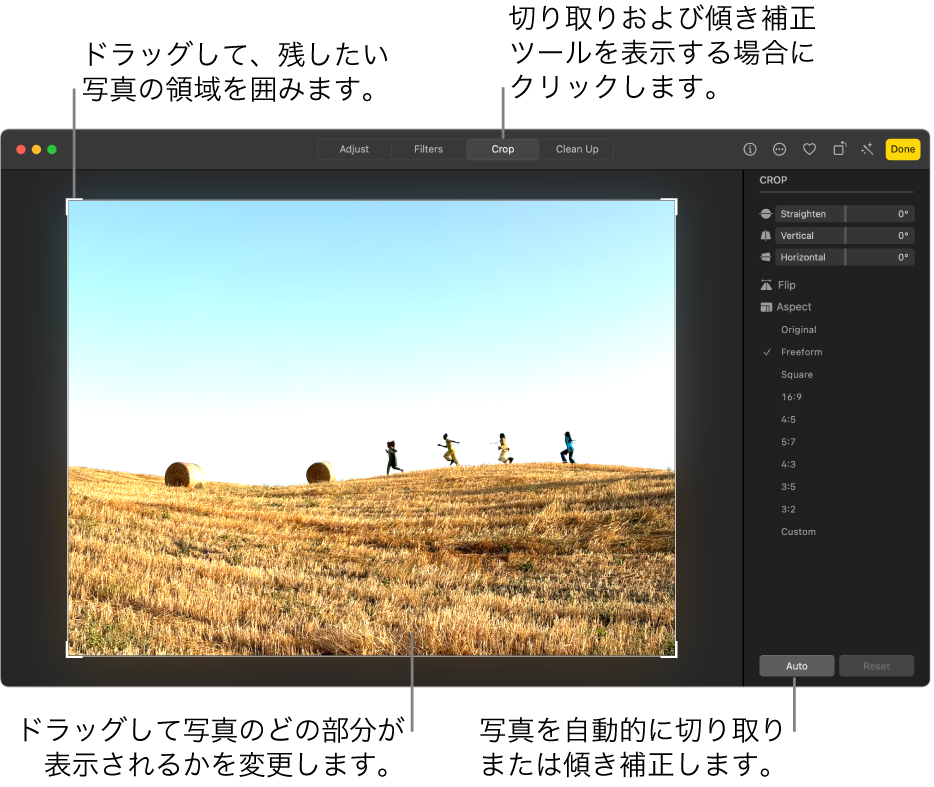 編集ビューの写真。ツールバーで「切り取り」が選択され、写真の周りには選択範囲の長方形が、右側には傾き補正スライダ、アスペクト比のオプション、「自動」と「リセット」ボタンがあります。