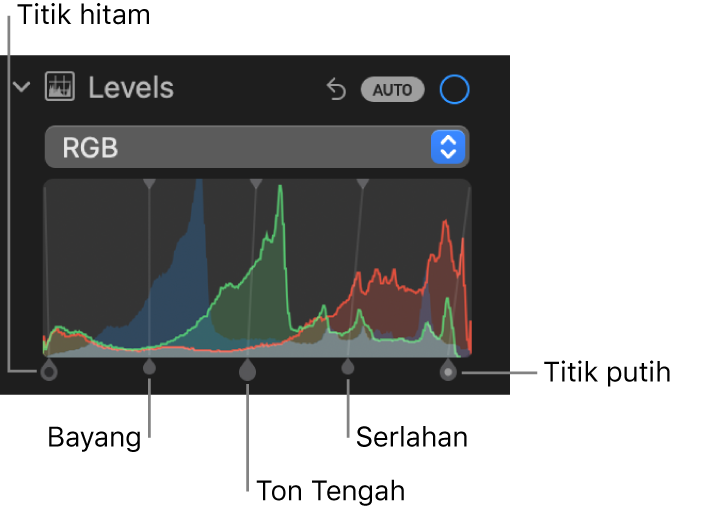 Kawalan Aras dalam anak tetingkap Laras, menunjukkan histogram RGB dengan pemegang di bawah, termasuk (dari kiri ke kanan) titik hitam, bayang, ton tengah, serlahan dan titik putih.