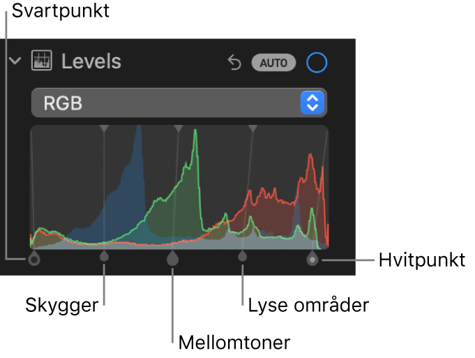 Nivåkontroller i Juster-panelet, som viser RGB-histogrammet med håndtakene under, inkludert (fra venstre mot høyre) svartpunkt, skygger, mellomtoner, lyse områder og hvitpunkt.