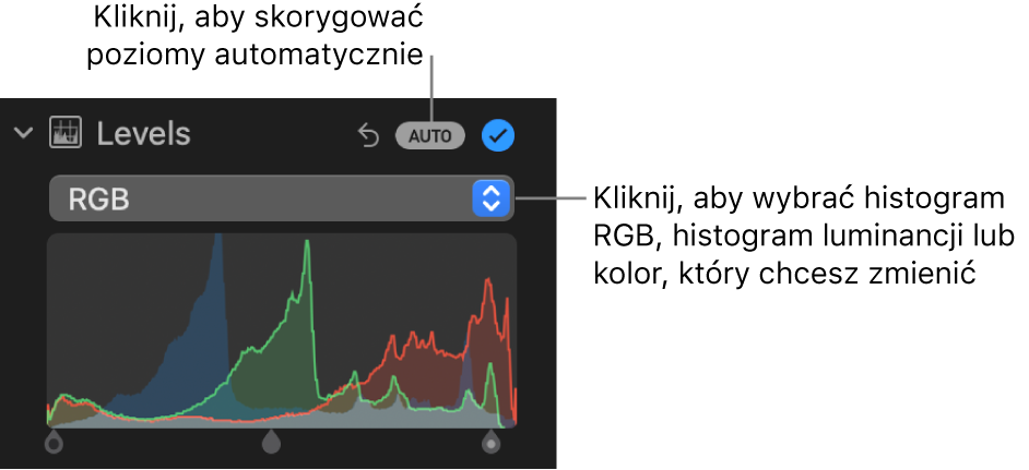 Narzędzia pod etykietą Poziomy w panelu Korekta. W prawym górnym rogu widoczny jest przycisk Autom., a poniżej znajduje się histogram RGB.