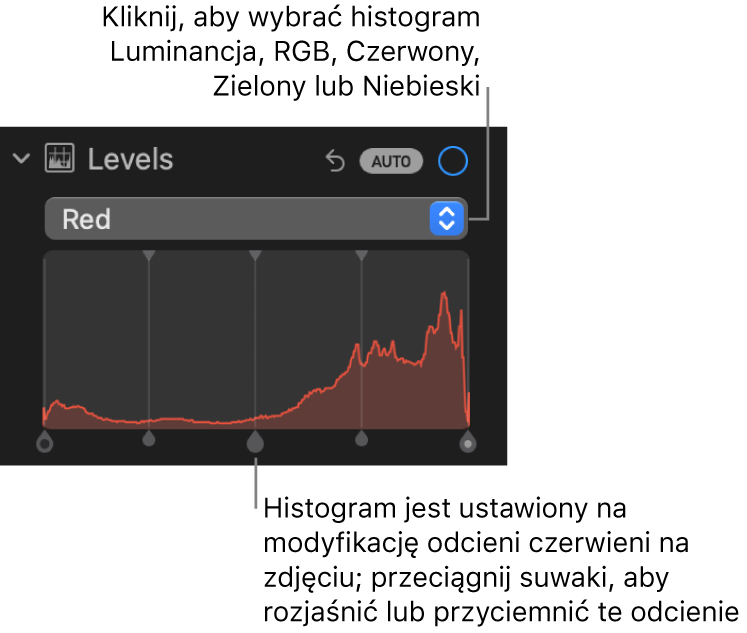 Narzędzia pod etykietą Poziomy w panelu Korekta. Widoczny jest histogram koloru czerwonego ze znajdującymi się pod nim uchwytami do regulacji poziomów czerwieni na zdjęciu.