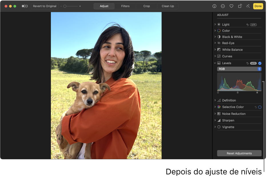 Uma foto depois dos ajustes de níveis.