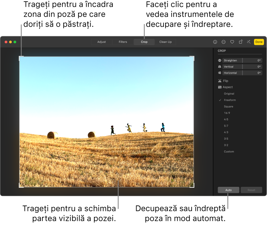 O poză în vizualizarea de editare, cu butonul Decupare selectat în bara de instrumente, un dreptunghi de selecție în jurul pozei și glisoarele de îndreptare, opțiunile pentru raportul de aspect și butoanele Automat și Resetează în partea din dreapta.