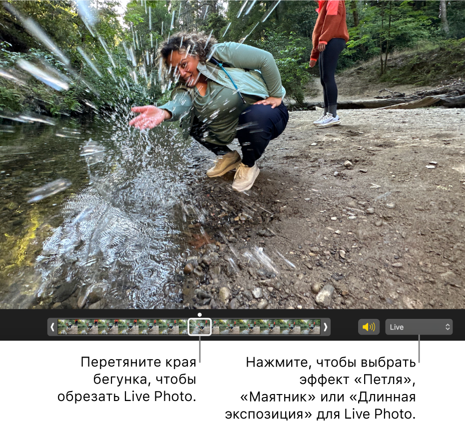 Снимок Live Photo в режиме редактирования с бегунком под фотографией, который показывает кадры фотографии. Справа от бегунка находятся кнопка динамика и всплывающее меню для добавления эффекта зацикливания, маятника или длинной экспозиции.