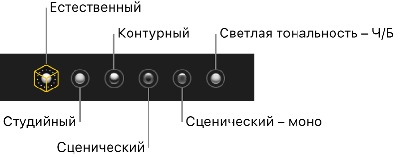 Выбор световых эффектов для портрета, включая (показаны слева направо): Естественный, Студийный, Контурный, Сценический, Сценический – моно и Светлая тональность – Ч/Б.