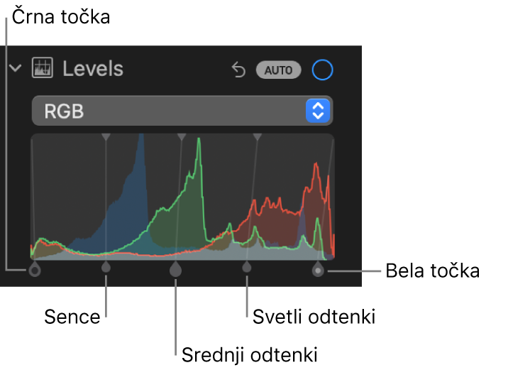 Krmilne funkcije možnosti Ravni v podoknu Prilagodi s prikazom histograma RGB z ročicami spodaj, vključno s (od leve proti desni) črno točko, sencami, srednjimi in svetlimi odtenki ter belo točko.