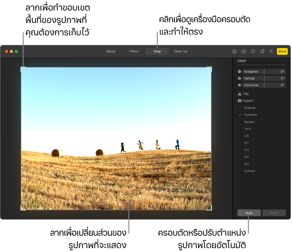 รูปภาพในมุมมองการแก้ไขโดยมีครอบตัดถูกเลือกอยู่ในแถบเครื่องมือ รูปสี่เหลี่ยมผืนผ้าของส่วนที่เลือกอยู่รอบรูปภาพ และแถบเลื่อนสำหรับทำให้ตรง ตัวเลือกอัตราสัดส่วน และปุ่มออโต้และปุ่มรีเซ็ตอยู่ทางด้านขวา