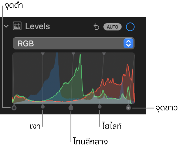 ตัวควบคุมระดับในบานหน้าต่างการปรับที่แสดงฮิสโตแกรม RGB พร้อมขอบจับด้านล่าง ซึ่งประกอบด้วย (จากซ้ายไปขวา) จุดดำ เงา โทนสีกลาง ไฮไลท์ และจุดขาว