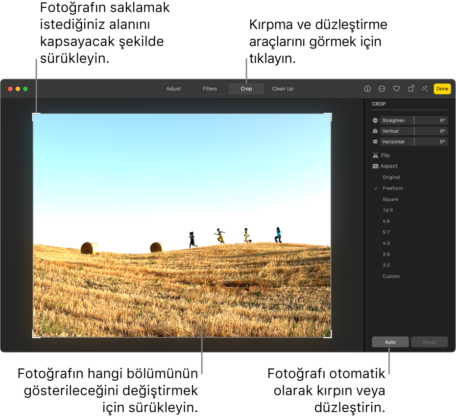 Düzenleme görüntüsünde bir fotoğraf; araç çubuğunda Kırp seçili, fotoğrafın etrafında bir seçim dikdörtgeni var ve sağ tarafta düzleştirme sürgüleri, en boy oranı seçenekleri, Otomatik ve Sıfırla düğmeleri bulunuyor.