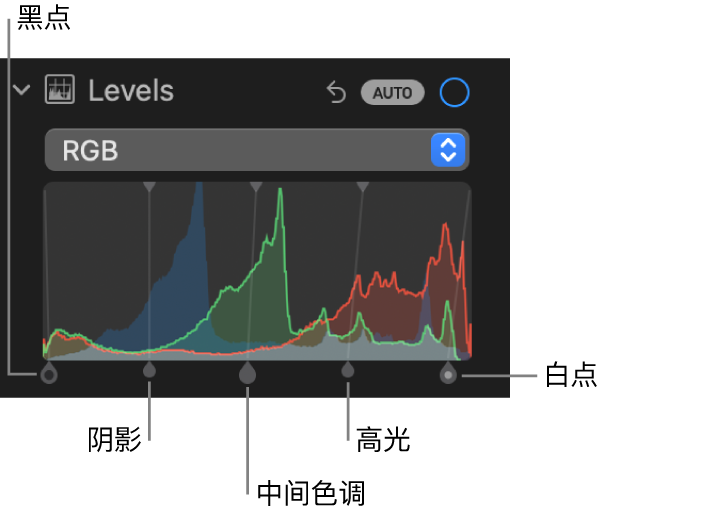 “调整”面板中的“色阶”控制，显示 RGB 直方图及下方的控制柄，包括（从左到右）黑点、阴影、中间色调、高光和白点。