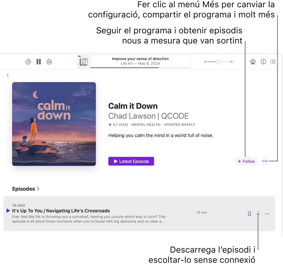 La pàgina d'informació d’un pòdcast en què es mostren els botons “Segueix”, “Més” i “Descarrega”.