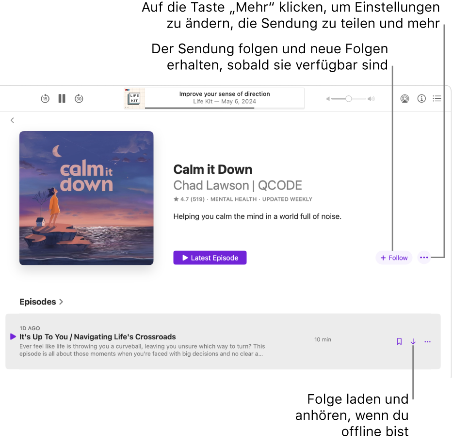 Eine Informationsseite für einen Podcast, auf der die Tasten „Folgen“, „Mehr“ und „Herunterladen“ angezeigt werden.