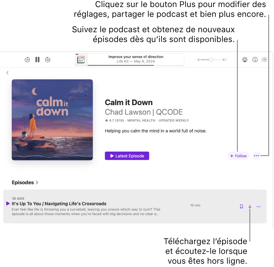 Une page d’informations pour un podcast, avec les boutons Suivre, Plus et Télécharger.