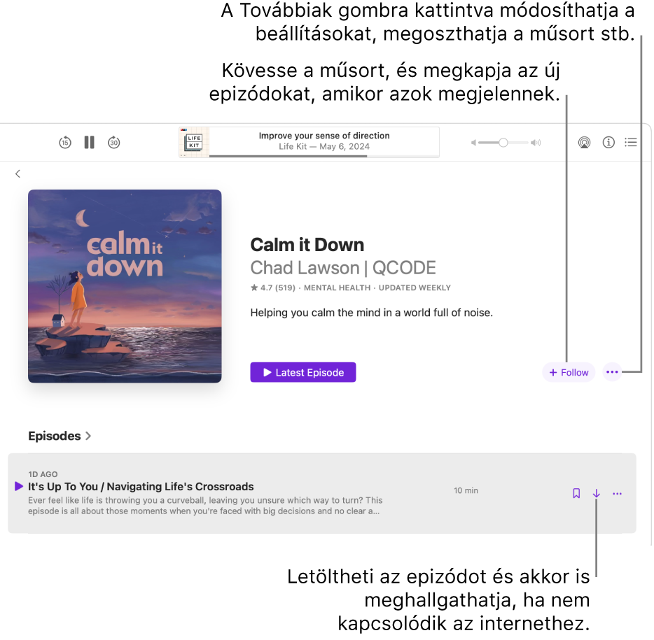 Egy podcast információs oldala a Követés, a Továbbiak és a Letöltés gombokkal.
