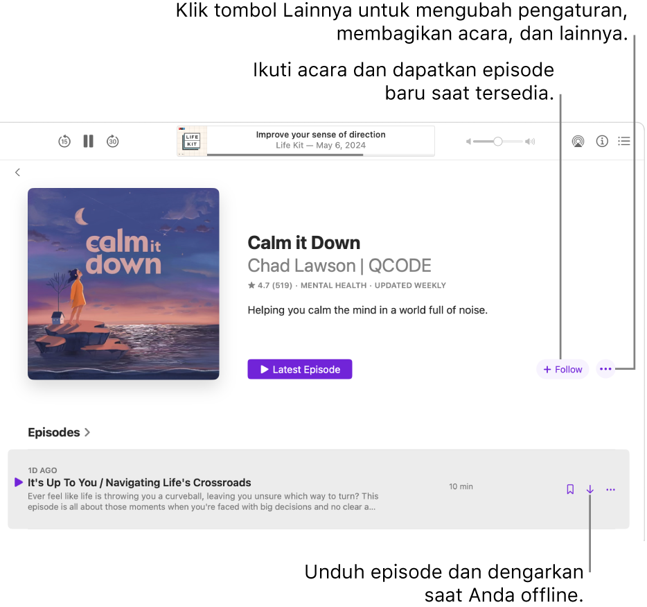 Halaman informasi untuk podcast, yang menampilkan tombol Ikuti, Lainnya, dan Unduh.