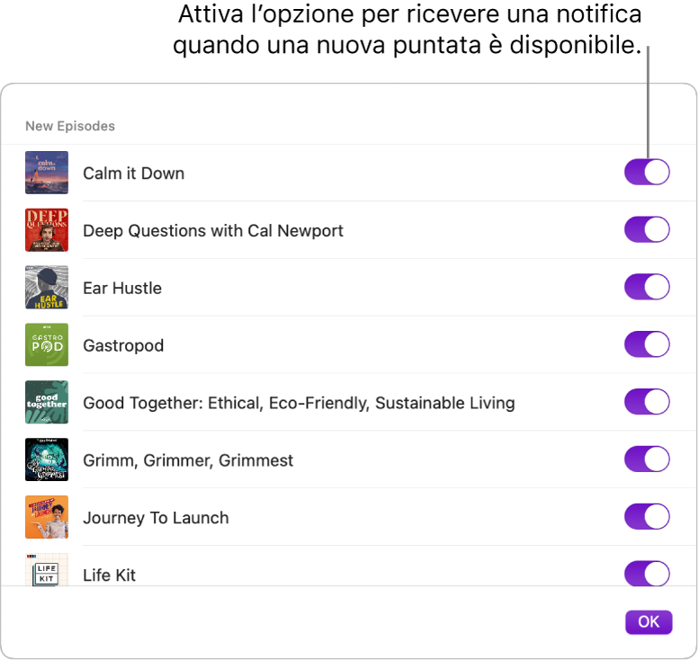 Le opzioni Notifiche. Fai clic sull’interruttore per ricevere una notifica quando è disponibile una nuova puntata.