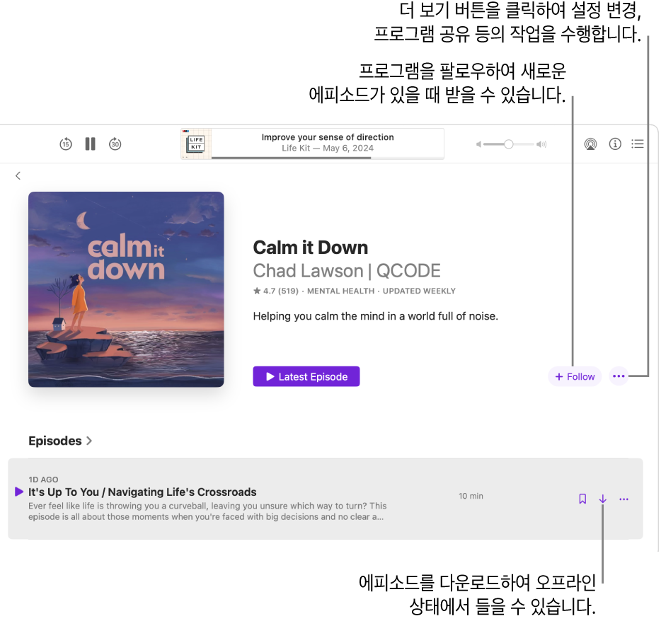 팔로우, 더 보기 및 다운로드 버튼을 표시하는 팟캐스트에 대한 정보 페이지.
