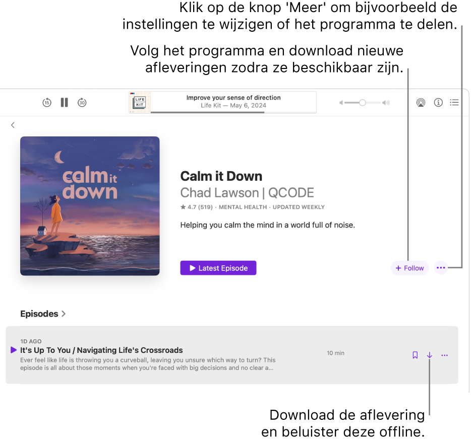 Een informatiepagina voor een podcast met de knoppen 'Volg', 'Meer' en 'Download'.