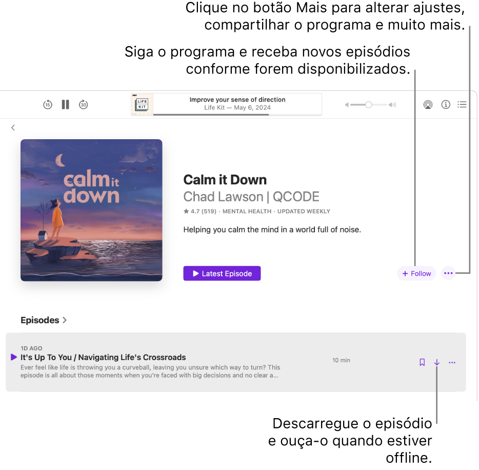 Uma página de informação para um podcast com os botões “Seguir”, “Mais” e “Descarregar”.