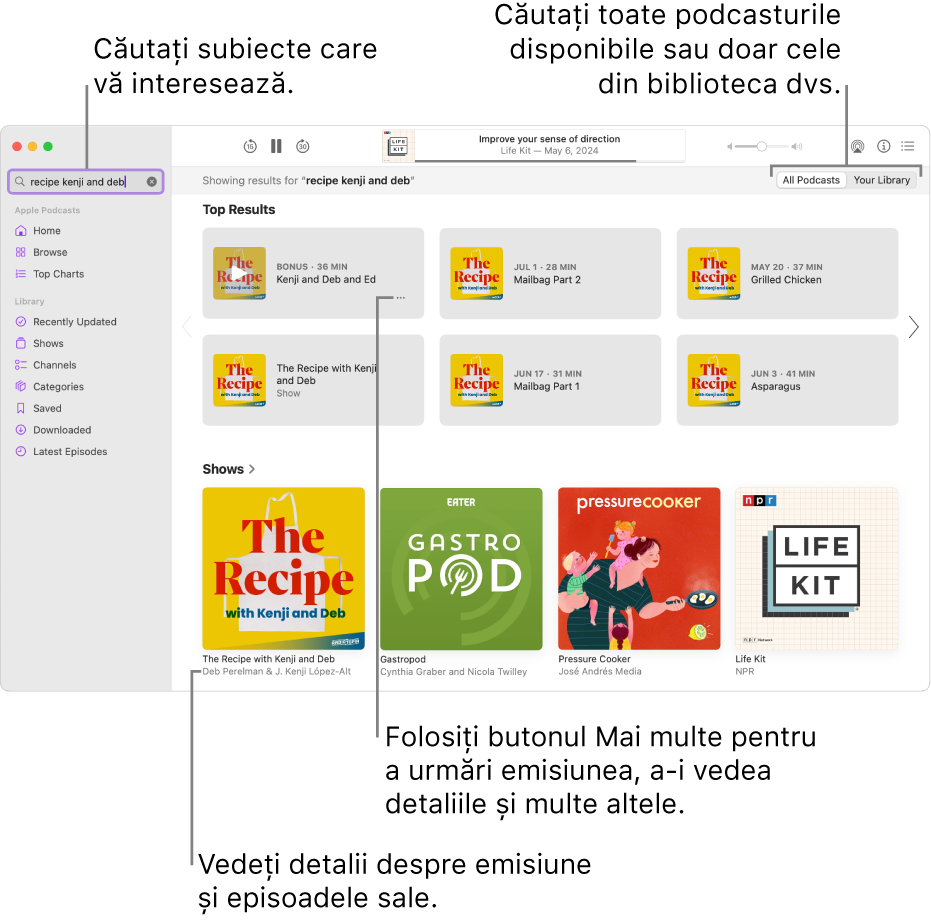 Fereastra Podcasturi afișând textul introdus în câmpul pentru căutare din colțul din stânga sus și episoadele și emisiunile care se potrivesc cu căutarea în toate podcasturile din ecranul din dreapta. Faceți clic pe linkul de sub emisiune pentru a afișa detalii despre emisiune și episoadele acesteia. Utilizați butonul “Mai multe” aferent emisiunii pentru a urmări emisiunea, a schimba configurările acesteia și altele.
