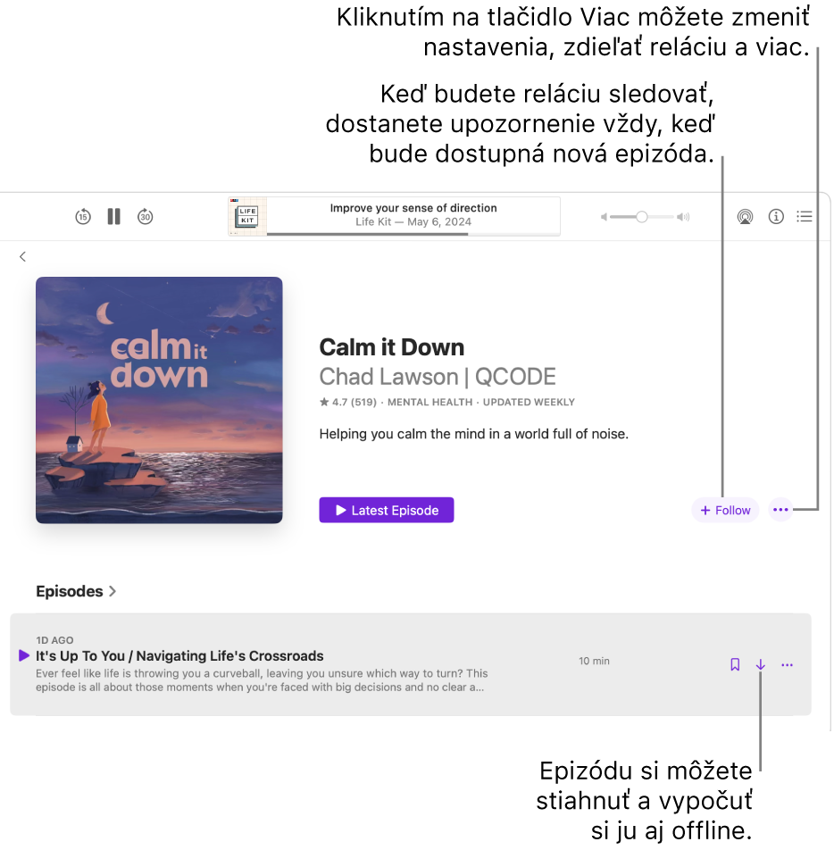 Informačná stránka pre podcast zobrazujúca tlačidlá Sledovať, Viac a Stiahnuť.