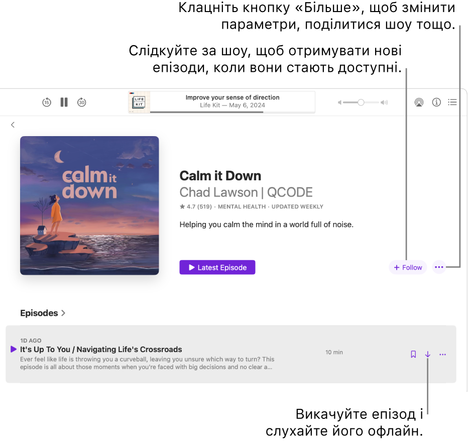 Сторінка інформації про подкаст з кнопками «Стежити», «Ще» і «Викачати».