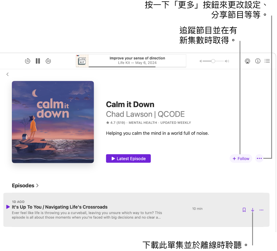 Podcast 的資訊頁面,顯示「追蹤」、「更多」和「下載」按鈕。