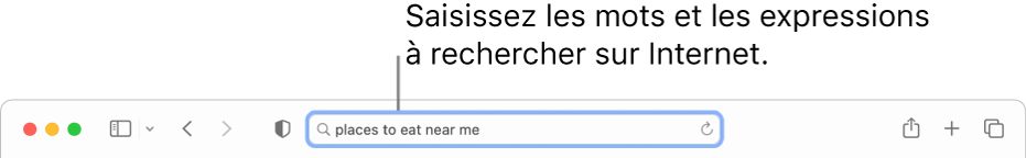 Le champ de recherche intelligente de Safari, dans lequel vous pouvez saisir des mots et expressions à rechercher sur Internet.