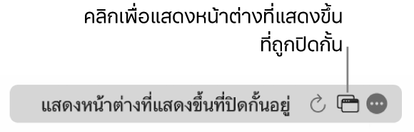 ช่องค้นหาอัจฉริยะที่มีไอคอนเพื่อแสดงหน้าต่างที่แสดงขึ้นที่ถูกปิดกั้น