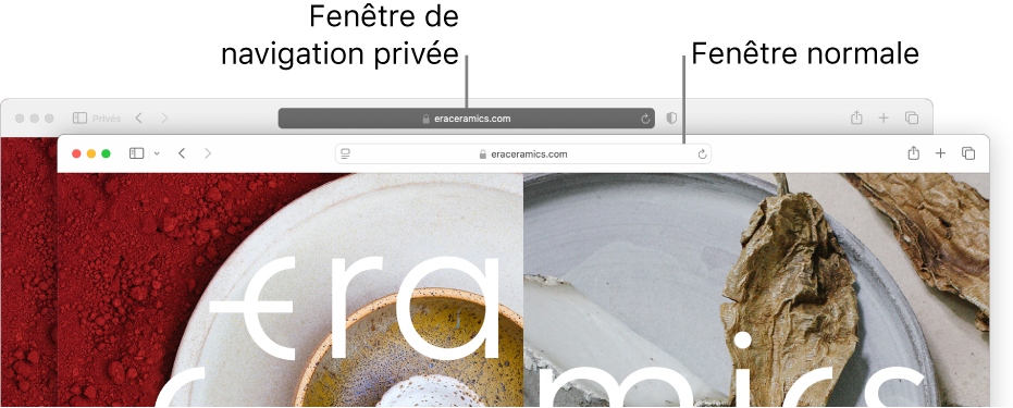 Une fenêtre Safari privée avec son champ de recherche intelligente sombre, et une fenêtre Safari normale avec son champ de recherche intelligente clair.