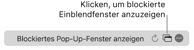 Das intelligente Suchfeld mit einer Taste, um blockierte Pop-up-Fenster anzuzeigen.