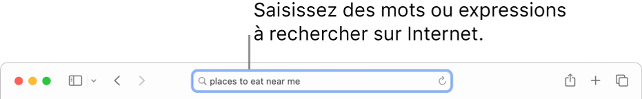 Le champ de recherche intelligente de Safari, dans lequel vous pouvez saisir des mots et des phrases pour effectuer des recherches sur Internet.