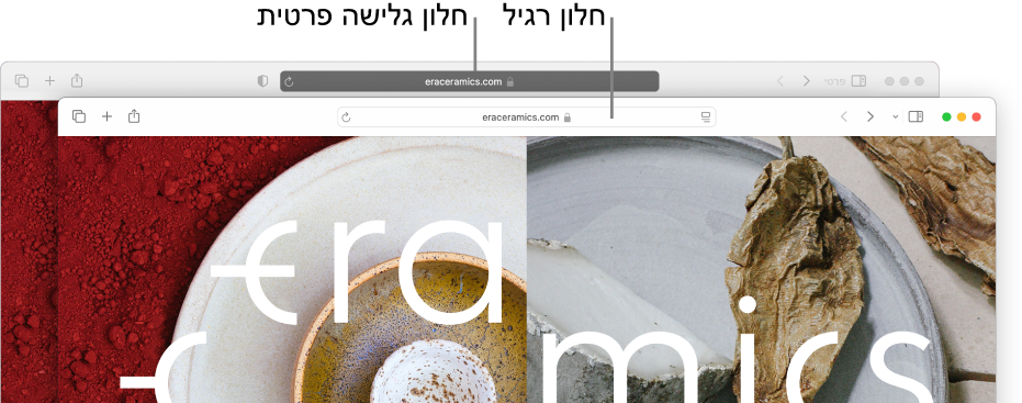 חלון Safari פרטי רגיל עם שדה ״חיפוש חכם״ כהה, וחלון Safari רגיל, עם שדה ״חיפוש חכם״ בהיר.