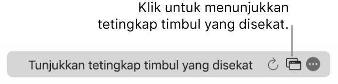 Medan Carian Pintar dengan butang untuk menunjukkan tetingkap timbul yang disekat.