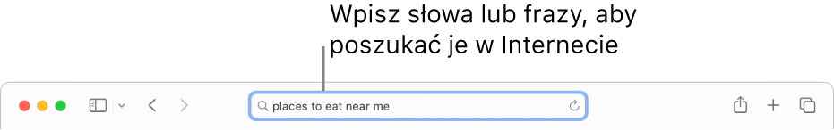 Inteligentne pole wyszukiwania w Safari. Możesz wprowadzać w nim wyrazy i frazy, których chcesz szukać w Internecie.