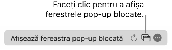 Câmpul de căutare inteligentă cu un buton pentru afișarea ferestrelor pop‑up blocate.