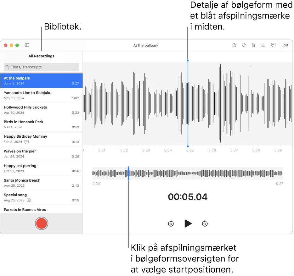 Appen Memoer viser optagelserne i biblioteket til venstre. Den valgte optagelse vises i vinduet til højre for listen som en detaljeret bølgeform med et blåt afspilningsmærke i midten. Under optagelsen findes bølgeformsoversigten.