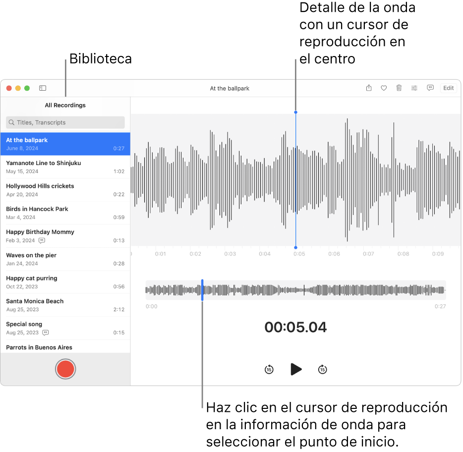 La app Notas de Voz mostrando las grabaciones en la biblioteca disponible a la izquierda. La grabación seleccionada aparece en la ventana a la derecha de la lista, como un detalle en forma de onda con un cursor de reproducción en el centro. Debajo de la grabación está la vista general de la forma de onda.
