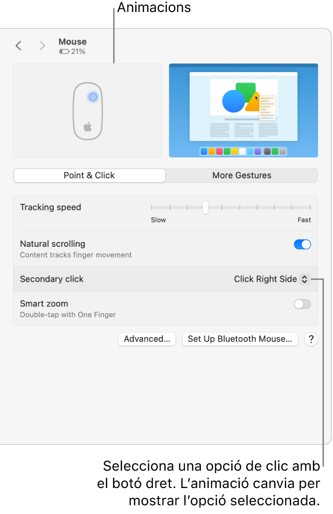 A la finestra “Ratolí” de la configuració del sistema, l’opció del clic secundari està definida en “Clic al costat dret” i se’n mostra l’animació.